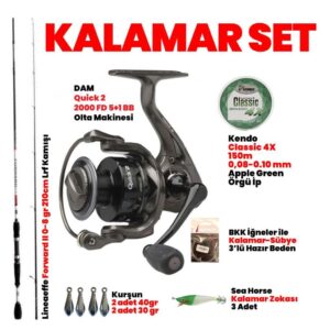 Kalamar Avı  Lineaeffe Forward -DAM Quick 2 2000 Set