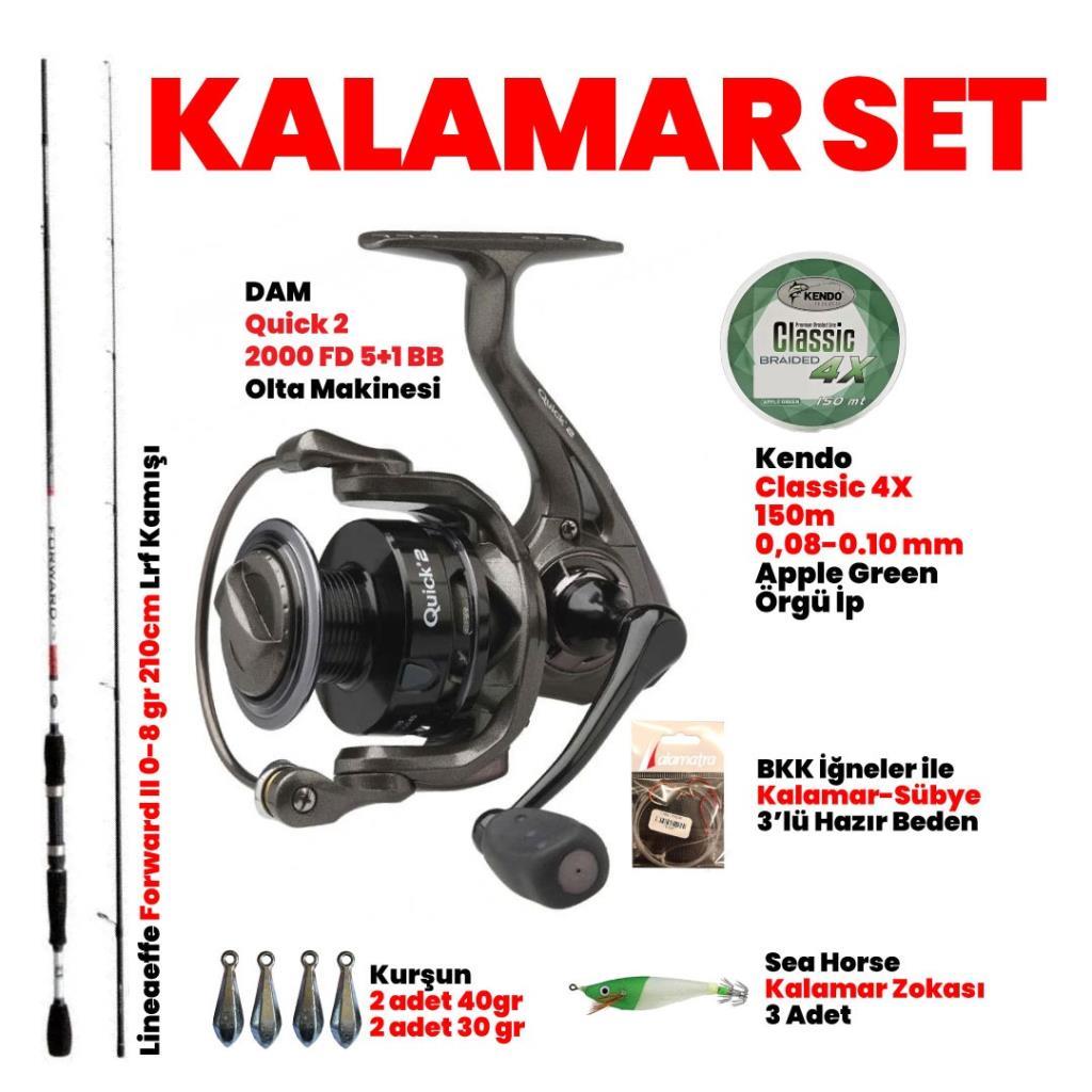 Kalamar Avı Lineaeffe Forward -DAM Quick 2 2000 Set