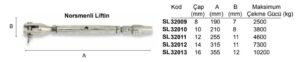 Norsmenli Liftin 14 mm