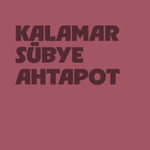 Kalamar Sübye Ahtapot