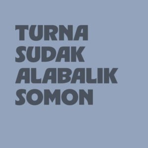 Turna Sudak Alabalık Somon