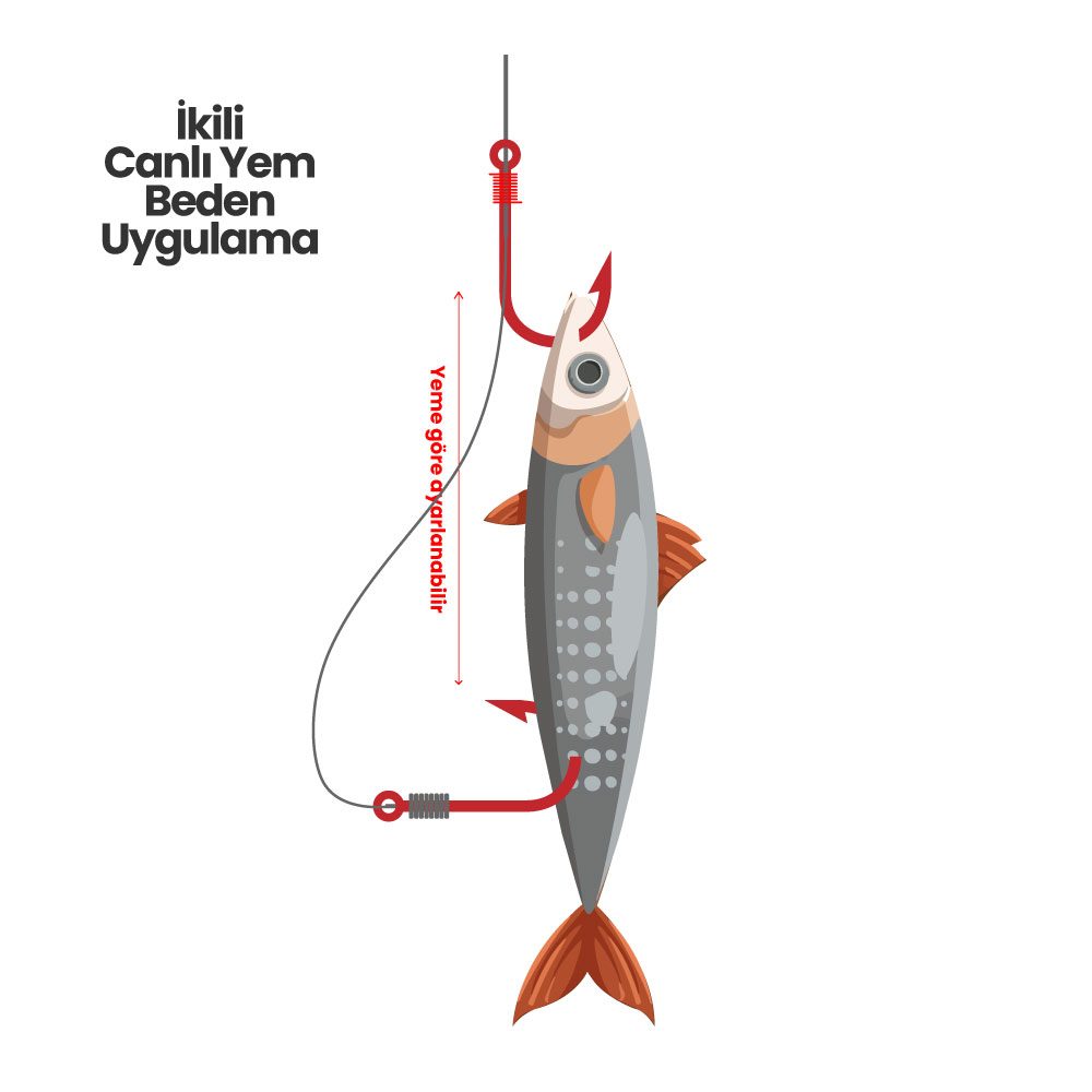 Kalamar- Sübye- Balık Canlı Takım 2 li Regular - Görsel 2