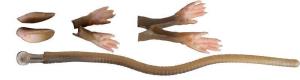 Savage gear LB 3D Rad Maintenance Kit 20 cm Brown Sahte Balık