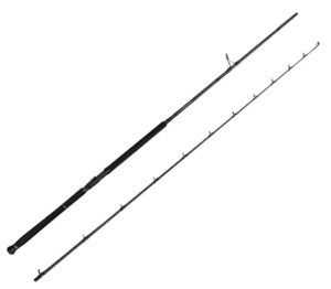 Savage Gear Defiance SG2 Shore Jig 2.90m 50-120gr 2 Parça Olta Kamışı