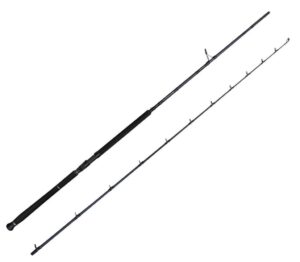 Savage Gear Defiance SG2 Shore Jig 3.05m 60-150gr 2 Parça Olta Kamışı