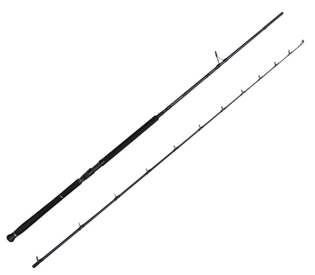 Savage Gear Defiance SG2 Shore Jig 2.90m 50-120gr 2 Parça Olta Kamışı
