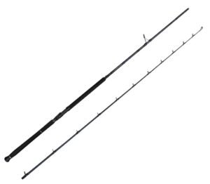 Savage Gear Defiance SG2 Shore Jig 2.90m 50-120gr 2 Parça Olta Kamışı