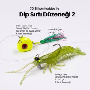 3D Silikon Karidesli Dip Sırtı Düzeneği