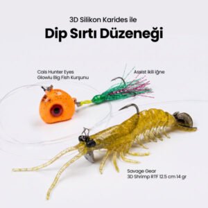 3D Silikon Karidesli Dip Sırtı Düzeneği